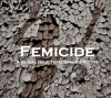 Femicide-4